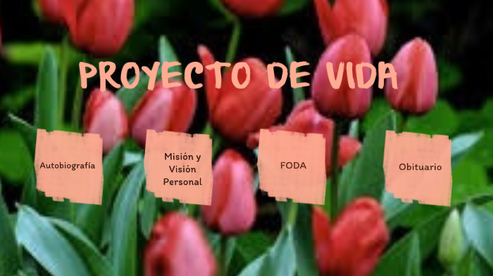 Proyecto de Vida by Maria Loera Arredondo on Prezi