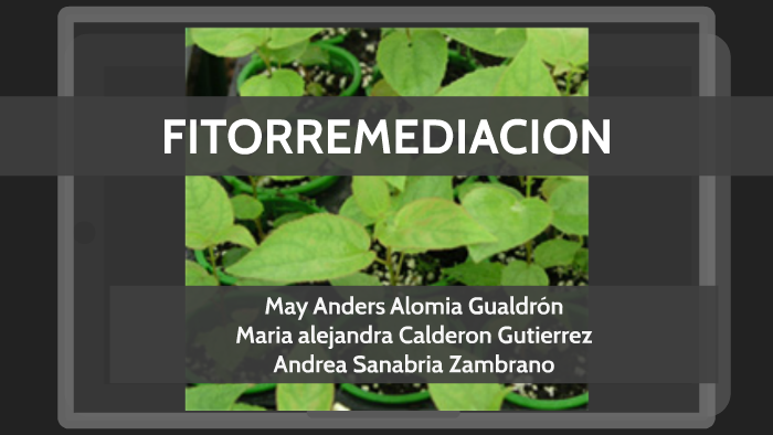 Técnicas de FITORREMEDIACIÓN by May Anders on Prezi Next