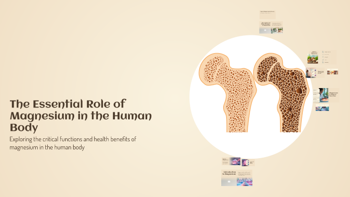 The Essential Role of Magnesium in the Human Body by Ainaz Behrozi on Prezi