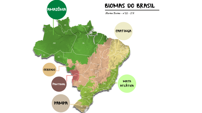 BIOMAS DO BRASIL by Marina Rovina on Prezi