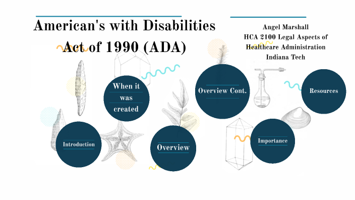 americans with disabilities act 1990 apush definition