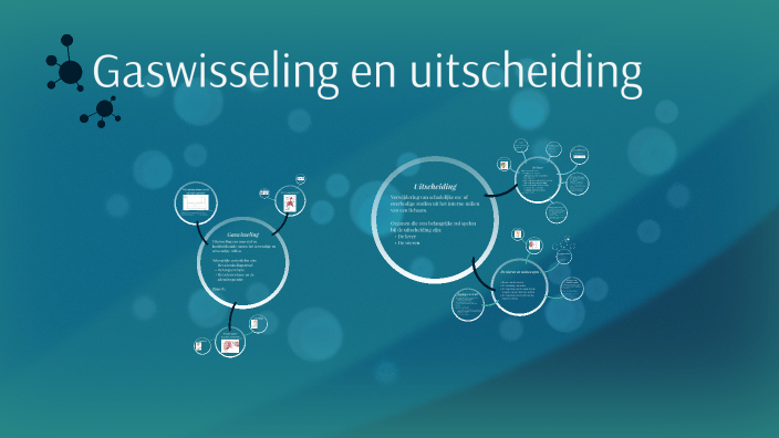 Gaswisseling en uitscheiding by samir ezzoubaa on Prezi