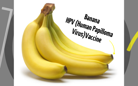 Banana HPV Vaccine by Andrew Pamorada on Prezi