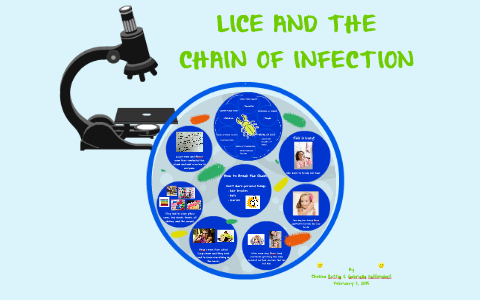 Lice and the chain of Infection by GK Paffendorf on Prezi