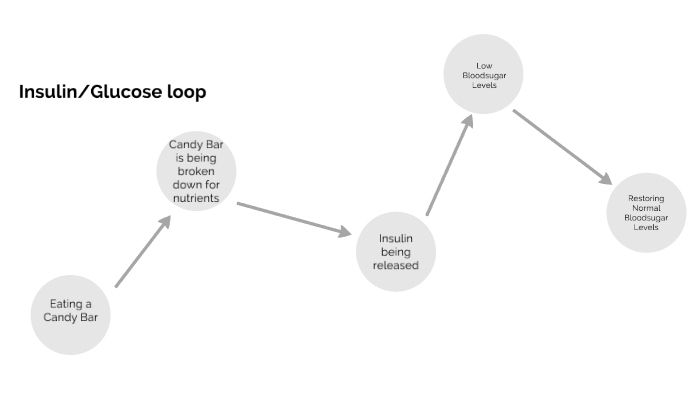 Insulin/glucose loop by Aide Gomez on Prezi