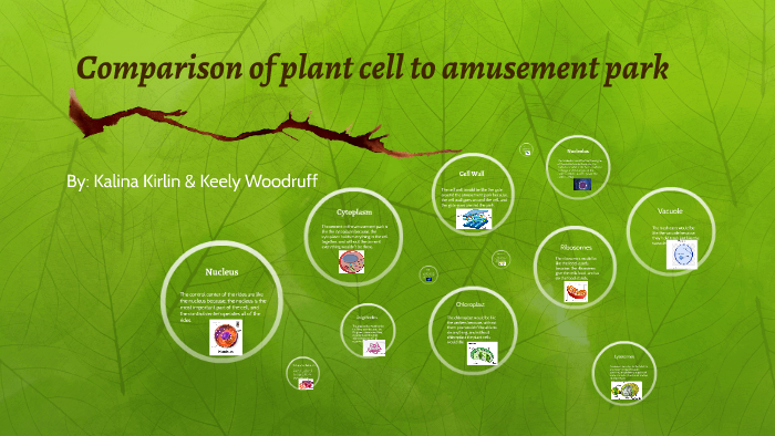 Comparison of plant cell to amusement park by K K on Prezi
