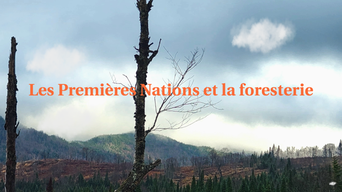 Les Premières Nations et la foresterie by Camille Deslauriers on Prezi