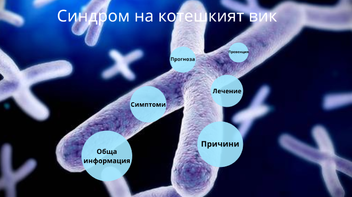 Синдром на котешкият вик by Mariela Georgieva on Prezi