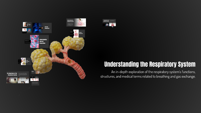 Understanding the Respiratory System by Gregory Peters on Prezi