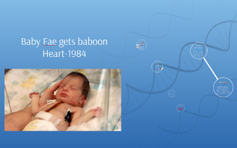 Baby Fae gets baboon Heart-1984 by Shakia Smith on Prezi Next