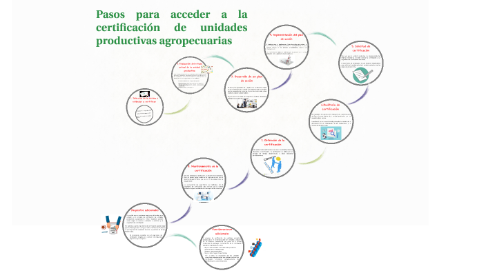 Pasos Para Acceder A La Certificación De Unidades Productivas Agropecuarias By Viktor Fierro 4575