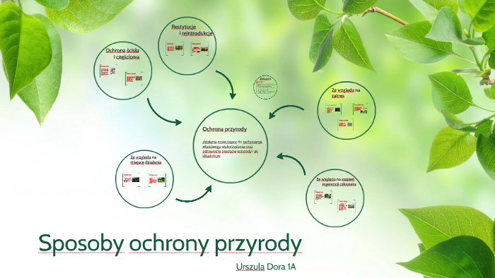 Sposoby Ochrony Przyrody Sposoby ochrony przyrody by Ursa Dora on Prezi