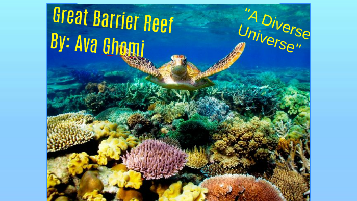 Great Barrier Reef By Student 56 On Prezi