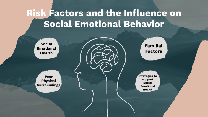 risk-factors-and-the-link-to-social-emotional-behavior-by-taylor-carter