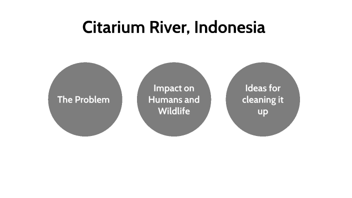 Water Pollution Project by Grant Meyer on Prezi