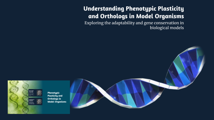 Understanding Phenotypic Plasticity and Orthologs in Model Organisms by ...