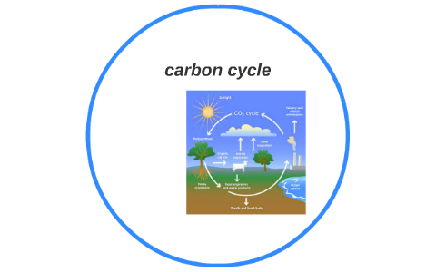 carbon by on Prezi