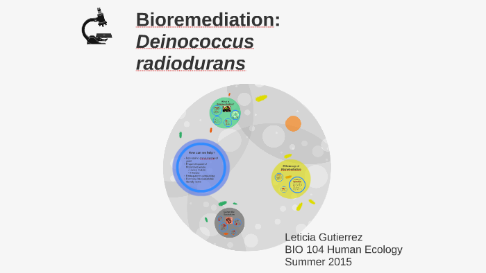 Application of Deinococcus radiodurans for bioremediation of