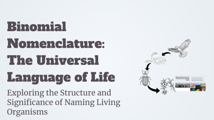 Binomial Nomenclature: The Universal Language of Life by Zachry Zhang ...