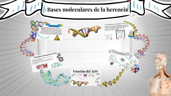 Bases Moleculares De La Herencia By Ronald Rojas On Prezi