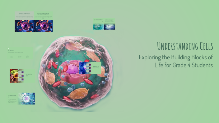 Understanding Cells by English Department on Prezi