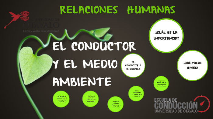 El Conductor Y El Medio Ambiente