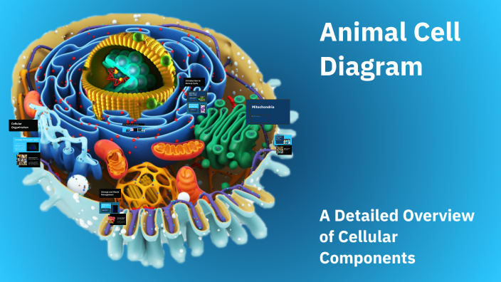 Animal Cell Diagram by Sean Hale on Prezi