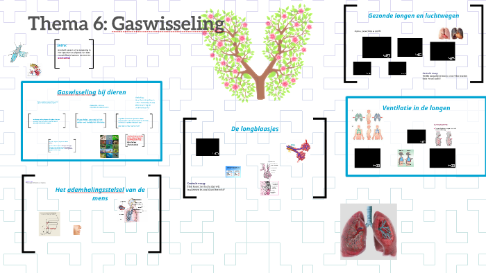 Thema 6: Gaswisseling by leonie joling on Prezi