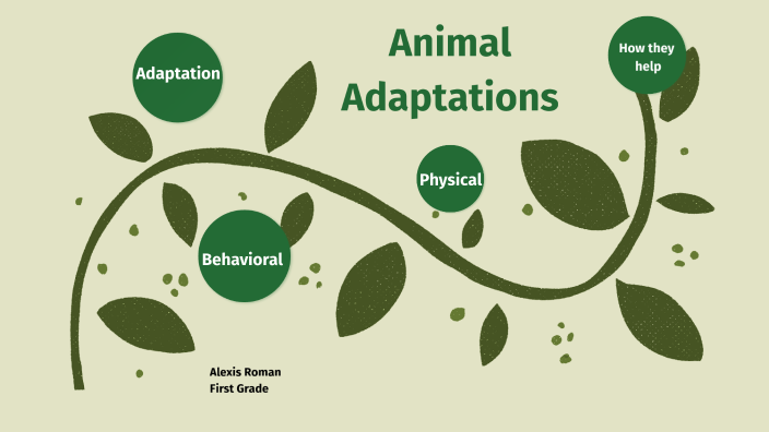 Animal Adaptations by Alexis Roman on Prezi