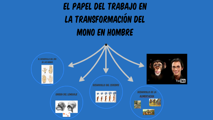 El papel del trabajo en la transformacion del mono a hombre by ana
