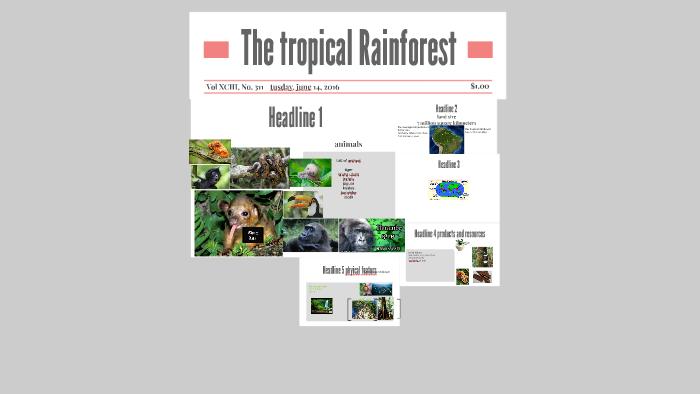 The Amazon Rainforest by grant rowe on Prezi