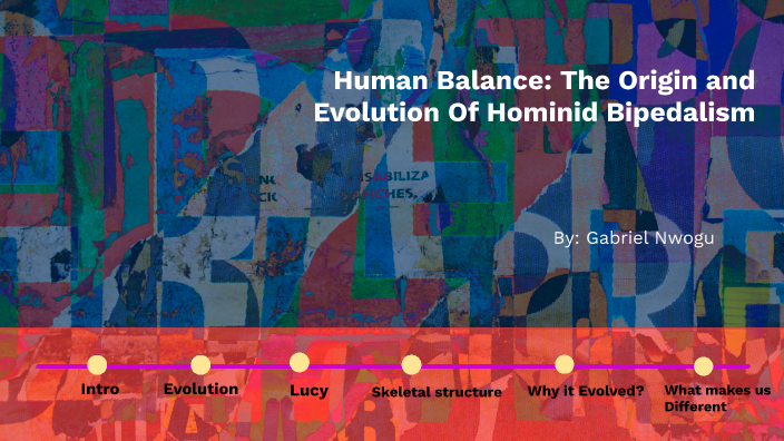 Human Balance: The Origin and Evolution Of Hominid Bipedalism by ...