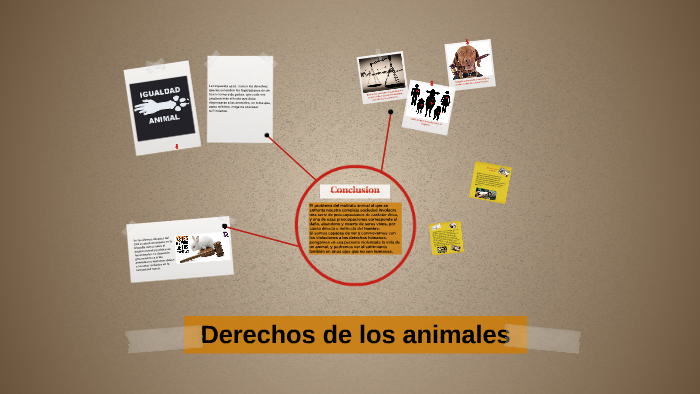 Derechos de los animales by juanfran guerrero lopez on Prezi