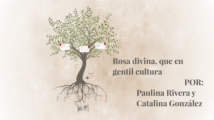 Rosa divina, que en gentil cultura by Catalina Gonzalez on Prezi