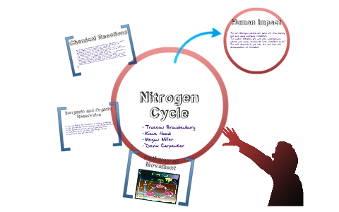 Nitrogen Cycle by Traeson Brandenburg on Prezi
