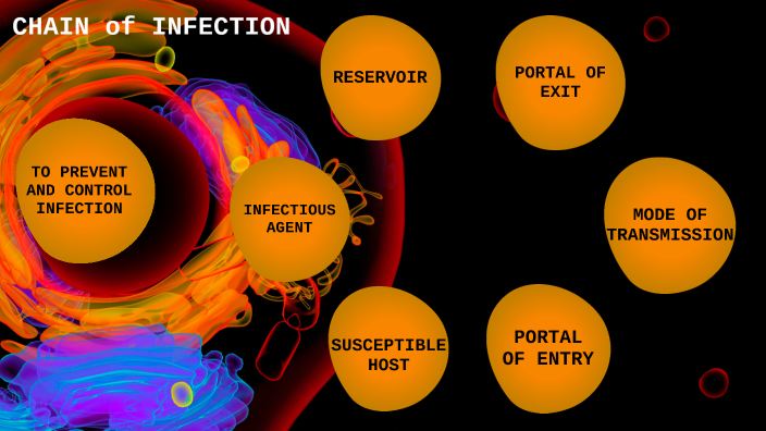 CHAIN OF INFECTION By Pranpriya Lucy On Prezi