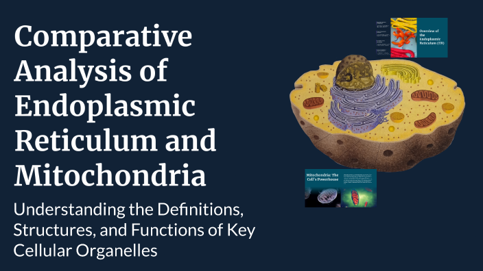 Comparative Analysis of Endoplasmic Reticulum and Mitochondria by Tony ...