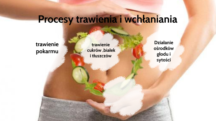 Trawienie I Wchłanianie Pokarmu Kl 4-sprawdzian Trawienie i wchłanianie by Daniel Flasza on Prezi