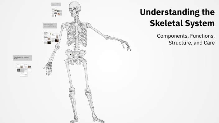 Understanding the Skeletal System by Ry Guy 86 on Prezi