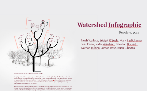 Watershed Infographic by Tom Pavlichenko on Prezi