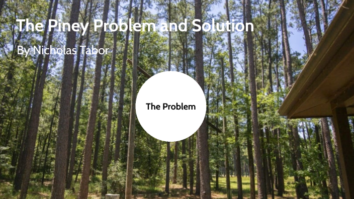 The Piney Problem and Solution by Nicholas Tabor on Prezi