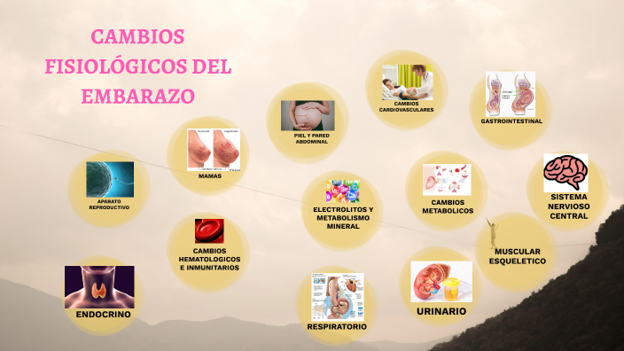 Cambios Fisiologicos Del Embarazo By Maria Alejandra Garcia On Prezi 