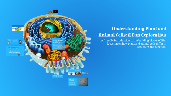 Understanding Plant and Animal Cells: A Fun Exploration by Austin Rahe ...