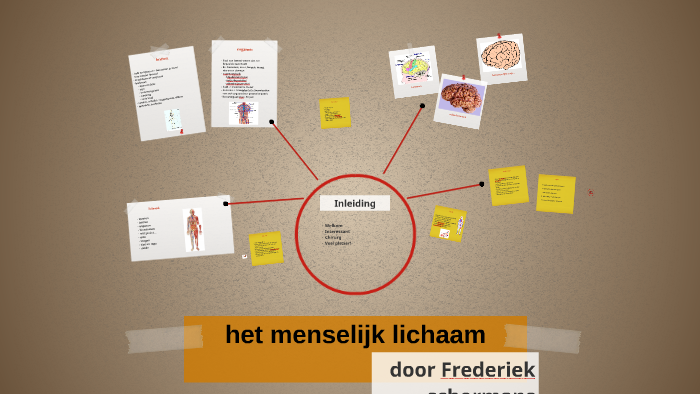 het menselijk lichaam by