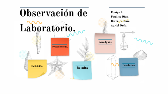 Observación de laboratorio. by Berenice Ruiz Urbalejo