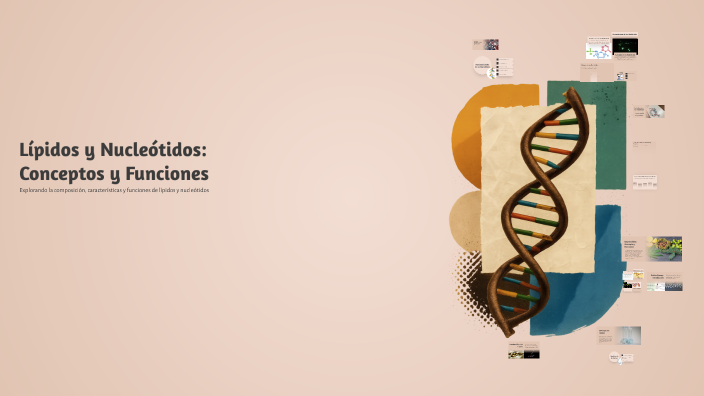 Lípidos y Nucleótidos: Conceptos y Funciones by José emanuel Pérez j on ...