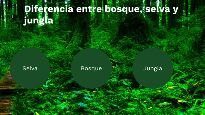 tarea by Duvian :'V Mosquera on Prezi