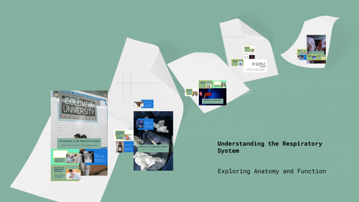 Understanding the Respiratory System by Dani on Prezi