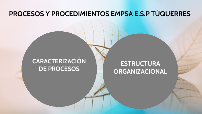 Empsa Document.pdf PROCESOS Y PROCEDIMIENTOS EMPSA E.S.P TÚQUERRES by Lizeth Carolina ...