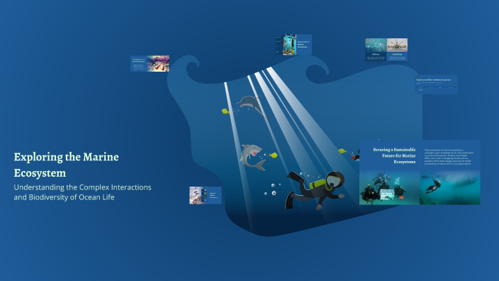 Exploring the Marine Ecosystem by Phoebe Louise Barnachea on Prezi